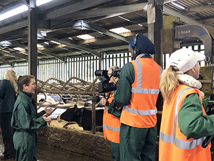 film crew interviewing vet student in cow shed